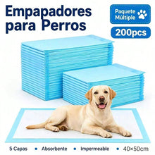 200 Empapadores para Perros, Almohadillas de Adiestramiento Ultra Absorbentes de 5 Capas, Antifugas con Base Impermeable, para Cachorros y Perros Adultos, 40x50/60x60/60x90 cm