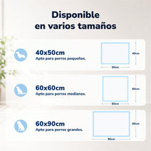200 Empapadores para Perros, Almohadillas de Adiestramiento Ultra Absorbentes de 5 Capas, Antifugas con Base Impermeable, para Cachorros y Perros Adultos, 40x50/60x60/60x90 cm