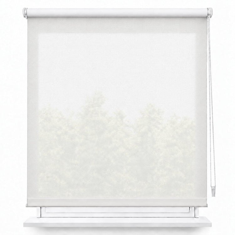 Estor Enrollable Translúcido para Ventanas, Estores para Ventanas sin Taladro con Control de Luz y Privacidad, Cortina Enrollable Semiopaca para Dormitorio, Salón y Cocina, Stores para Ventanas Modernos, Instalación Fácil sin Herramientas con Parada Libre