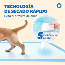 Empapadores Perros, Alfombrillas Desechables para Mascotas,Almohadillas de adiestramiento de Perros y Cachorros,Base Impermeable Antifugas