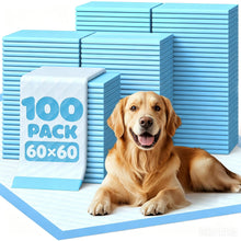 Empapadores Perros, Alfombrillas Desechables para Mascotas,Almohadillas de adiestramiento de Perros y Cachorros,Base Impermeable Antifugas