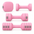 Mancuernas Ajustables 2 en 1 con Pesa Rusa, Juego de 2 Mancuernas Regulables de 1–2,5 kg Cada Una + Accesorio Kettlebell de 0,5 kg, Peso Total 5,5 kg, Pesas Fitness para Mujer y Hombre, Pilates, Yoga, Ejercicio en Casa, Gimnasio en Casa