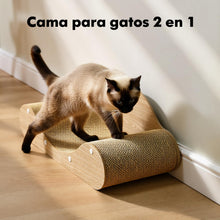 Rascador para Gatos
